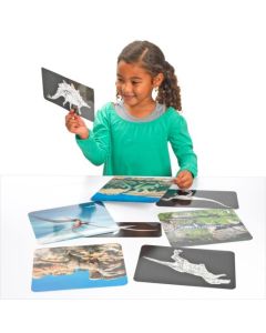 Roylco Discover Dinosaurs Picture Cards and X-rays. 12 beautiful picture cards and matching x-rays! R59240